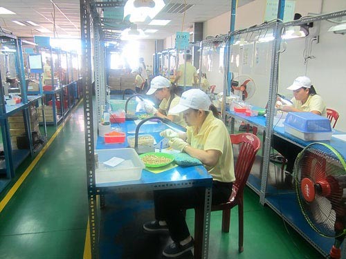 (Illustrative photo: SGGP)